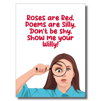 Don't Be Silly Willy Card #1 image